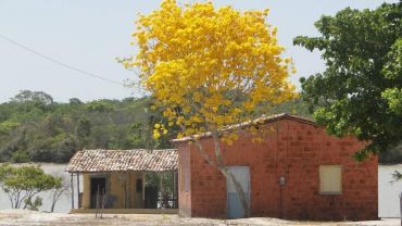 TARDE- 03 em 01 Rural (privativo)